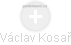  Václav Kosař - Vizualizace  propojení osoby a firem v obchodním rejstříku