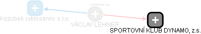 Lehner V. - Vizualizace  propojení osoby a firem v obchodním rejstříku
