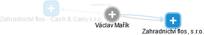Václav Mařík - Vizualizace  propojení osoby a firem v obchodním rejstříku