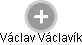 Václav Václavík - Vizualizace  propojení osoby a firem v obchodním rejstříku