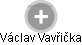  Václav Vavřička - Vizualizace  propojení osoby a firem v obchodním rejstříku