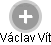 Václav Vít - Vizualizace  propojení osoby a firem v obchodním rejstříku