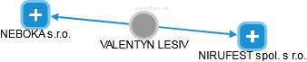 VALENTYN LESIV - Vizualizace  propojení osoby a firem v obchodním rejstříku