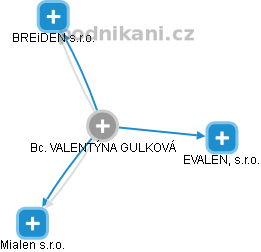 VALENTÝNA GULKOVÁ - Vizualizace  propojení osoby a firem v obchodním rejstříku