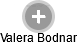 Valera Bodnar - Vizualizace  propojení osoby a firem v obchodním rejstříku