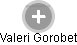 Valeri Gorobet - Vizualizace  propojení osoby a firem v obchodním rejstříku