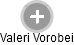 Valeri Vorobei - Vizualizace  propojení osoby a firem v obchodním rejstříku