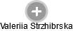 Valeriia Strzhibrska - Vizualizace  propojení osoby a firem v obchodním rejstříku