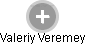 Valeriy Veremey - Vizualizace  propojení osoby a firem v obchodním rejstříku
