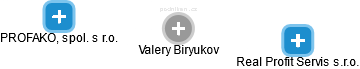 Valery Biryukov - Vizualizace  propojení osoby a firem v obchodním rejstříku