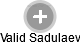 Valid Sadulaev - Vizualizace  propojení osoby a firem v obchodním rejstříku