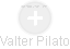 Valter Pilato - Vizualizace  propojení osoby a firem v obchodním rejstříku
