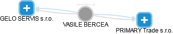 VASILE BERCEA - Vizualizace  propojení osoby a firem v obchodním rejstříku