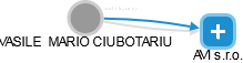 VASILE  MARIO CIUBOTARIU - Vizualizace  propojení osoby a firem v obchodním rejstříku