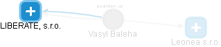 Vasyl Baleha - Vizualizace  propojení osoby a firem v obchodním rejstříku