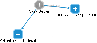 Vasyl Bedya - Vizualizace  propojení osoby a firem v obchodním rejstříku