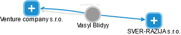 Vasyl Blidyy - Vizualizace  propojení osoby a firem v obchodním rejstříku