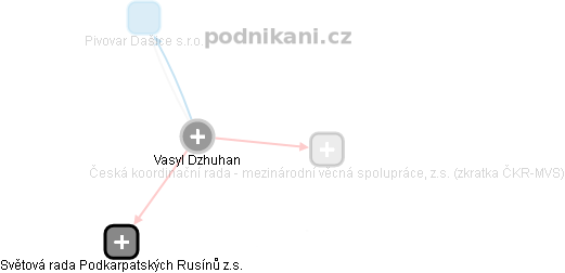  Vasyl D. - Vizualizace  propojení osoby a firem v obchodním rejstříku