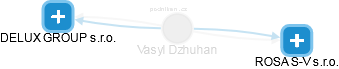  Vasyl D. - Vizualizace  propojení osoby a firem v obchodním rejstříku