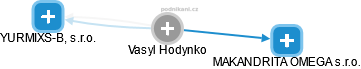 Vasyl Hodynko - Vizualizace  propojení osoby a firem v obchodním rejstříku