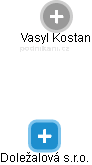 Vasyl Kostan - Vizualizace  propojení osoby a firem v obchodním rejstříku