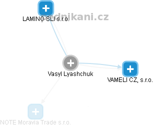Vasyl Lyashchuk - Vizualizace  propojení osoby a firem v obchodním rejstříku