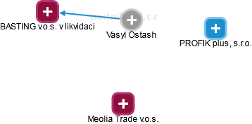 Vasyl Ostash - Vizualizace  propojení osoby a firem v obchodním rejstříku