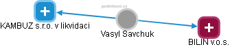Vasyl Savchuk - Vizualizace  propojení osoby a firem v obchodním rejstříku