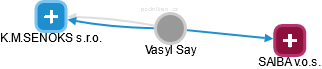 Vasyl Say - Vizualizace  propojení osoby a firem v obchodním rejstříku