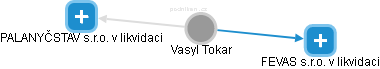  Vasyl T. - Vizualizace  propojení osoby a firem v obchodním rejstříku