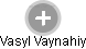 Vasyl Vaynahiy - Vizualizace  propojení osoby a firem v obchodním rejstříku