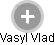 Vasyl Vlad - Vizualizace  propojení osoby a firem v obchodním rejstříku