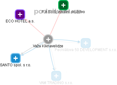 Važa Kiknavelidze - Vizualizace  propojení osoby a firem v obchodním rejstříku