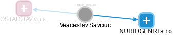 Veaceslav Savciuc - Vizualizace  propojení osoby a firem v obchodním rejstříku