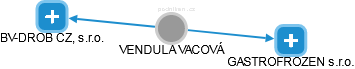 VENDULA VACOVÁ - Vizualizace  propojení osoby a firem v obchodním rejstříku