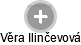 Věra Ilinčevová - Vizualizace  propojení osoby a firem v obchodním rejstříku