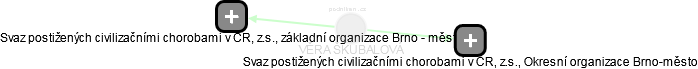  Škubalová V. - Vizualizace  propojení osoby a firem v obchodním rejstříku