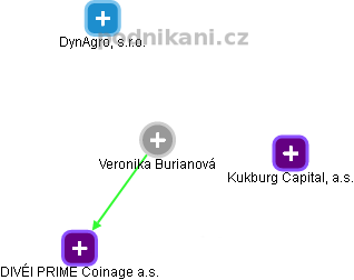 Veronika Burianová - Vizualizace  propojení osoby a firem v obchodním rejstříku