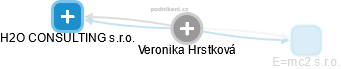  Veronika H. - Vizualizace  propojení osoby a firem v obchodním rejstříku