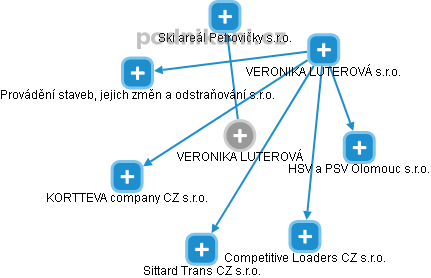 VERONIKA LUTEROVÁ - Vizualizace  propojení osoby a firem v obchodním rejstříku