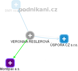 VERONIKA RESLEROVÁ - Vizualizace  propojení osoby a firem v obchodním rejstříku