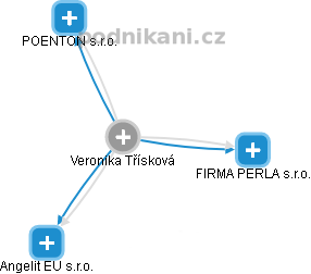  Veronika T. - Vizualizace  propojení osoby a firem v obchodním rejstříku