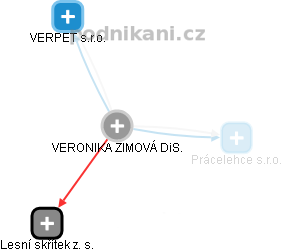  Veronika Z. - Vizualizace  propojení osoby a firem v obchodním rejstříku