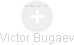 Victor Bugaev - Vizualizace  propojení osoby a firem v obchodním rejstříku