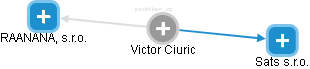Victor Ciuric - Vizualizace  propojení osoby a firem v obchodním rejstříku