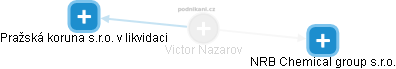 Victor Nazarov - Vizualizace  propojení osoby a firem v obchodním rejstříku
