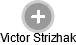 Victor Strizhak - Vizualizace  propojení osoby a firem v obchodním rejstříku