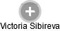 Victoria Sibireva - Vizualizace  propojení osoby a firem v obchodním rejstříku