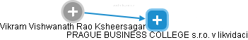 Vikram Vishwanath Rao Ksheersagar - Vizualizace  propojení osoby a firem v obchodním rejstříku