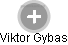 Viktor Gybas - Vizualizace  propojení osoby a firem v obchodním rejstříku